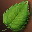 Etc leaf green i00 0.jpg