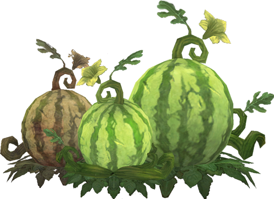 Wintermelons.png