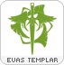 Elf_evas_templar.png