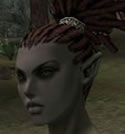 Hair Colors, Female Orc Fighter, Style B.jpg