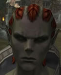 Hair Colors, Male Orc Mystic, Style C.jpg
