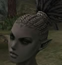 Hair Colors, Female Orc Fighter, Style C.jpg