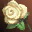 Etc white rose i00 0.jpg